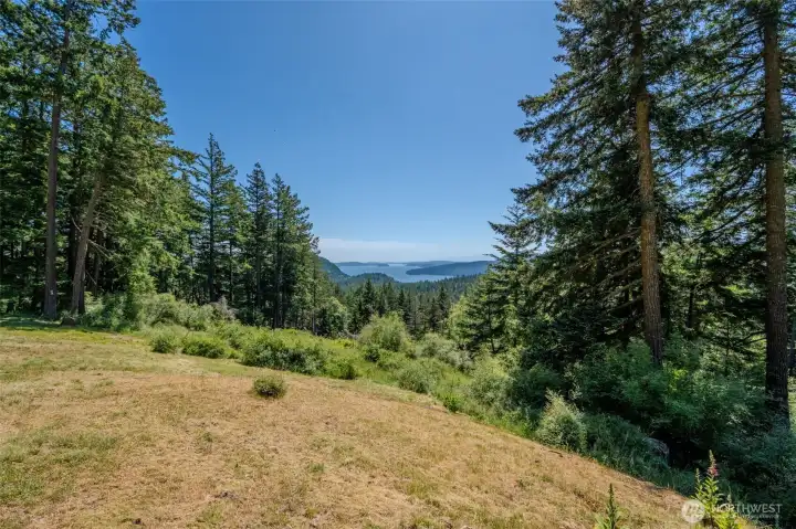 Views toward East Sound and beyond from one of the potential build sites. Views toward East Sound and beyond from one of the potential build sites.