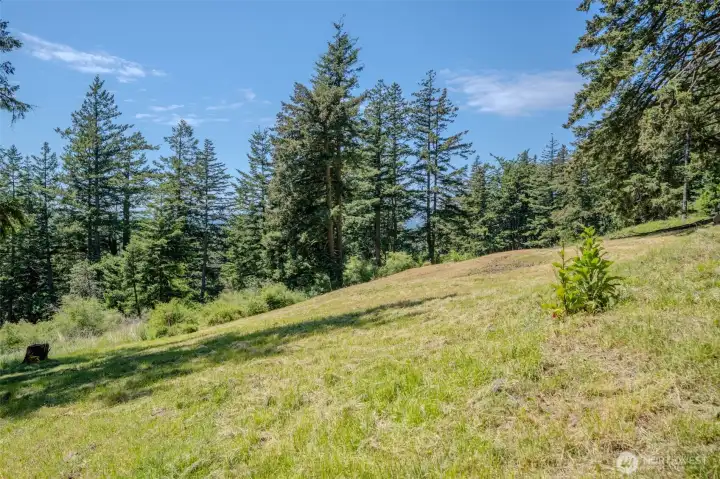 Property slopes gently to the south. Property slopes gently to the south.