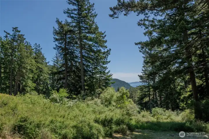 Much of the property is still untouched and wild. Much of the property is still untouched and wild.