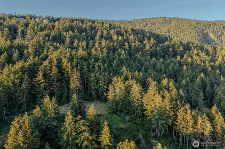 Aerial photograph showing the evening light at the tops of the trees. Aerial photograph showing the evening light at the tops of the trees.