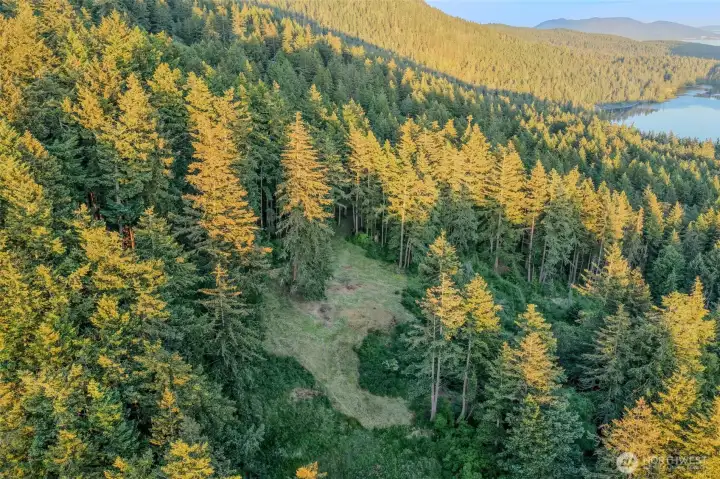 The cleared area is the meadow and highlights likely future build sites. Cascade Lake in the background. The cleared area is the meadow and highlights likely future build sites. Cascade Lake in the background.