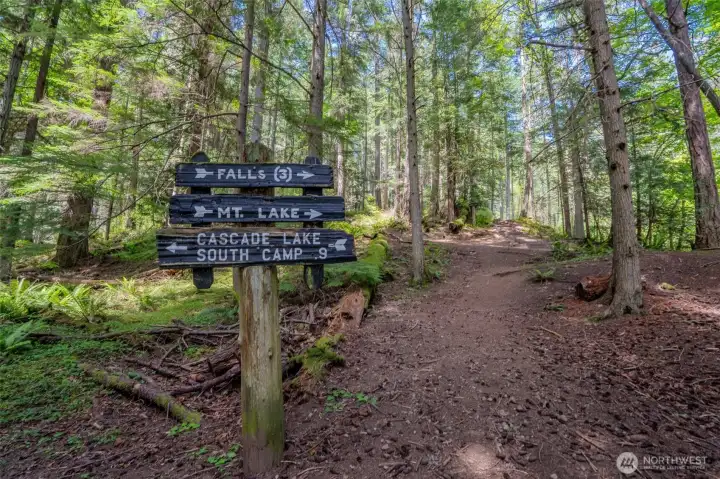 Which way will you go today? Which way will you go today?