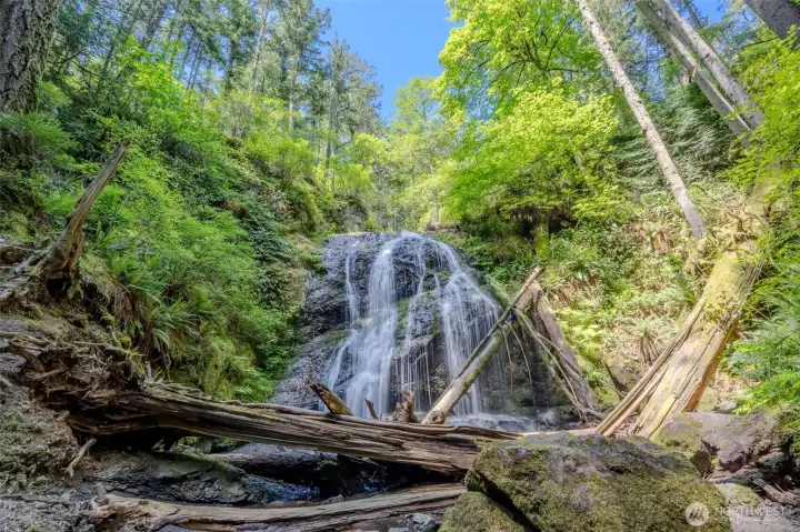 Moran State Park feels like your back yard. Moran State Park feels like your back yard.