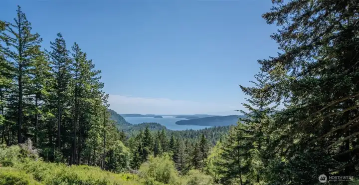 Enjoy the view! Enjoy the view!