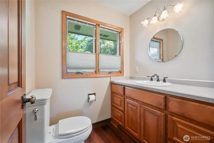 Guest bathroom