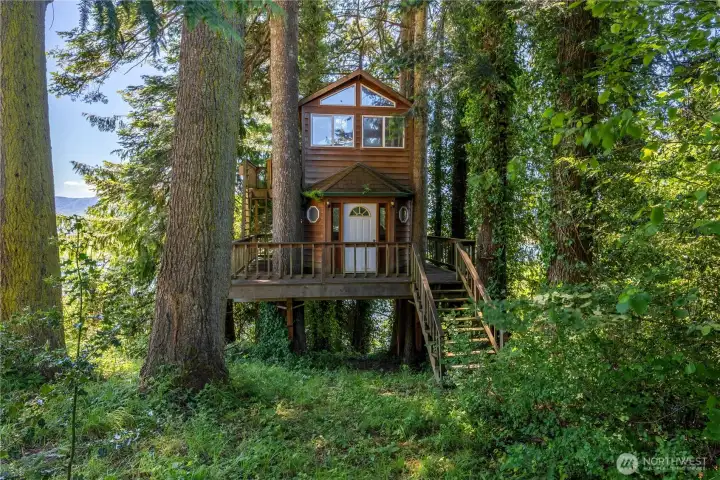 Incredible treehouse with two additional guest rooms, used to be rented out to guests.