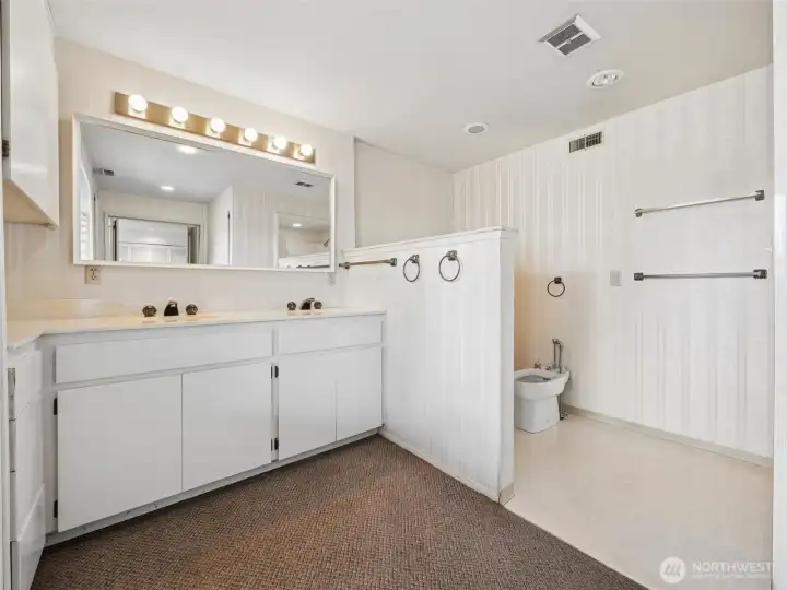 Primary Bathroom (lower level)