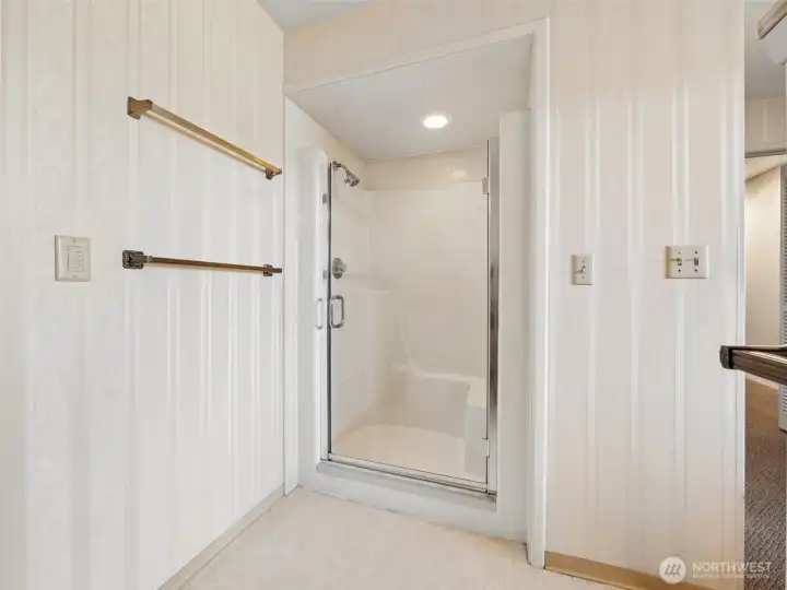 Primary Bathroom (lower level)