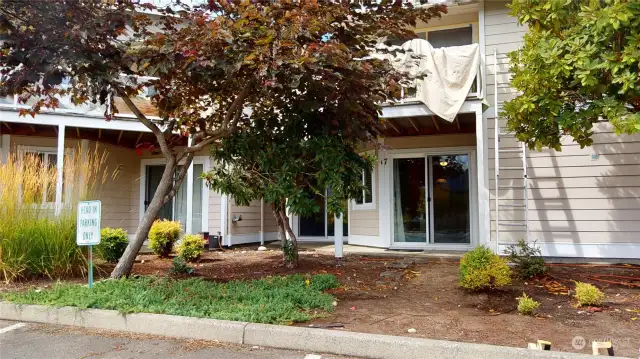 Patio from Parking Area.  These units are getting new paint on the outside!