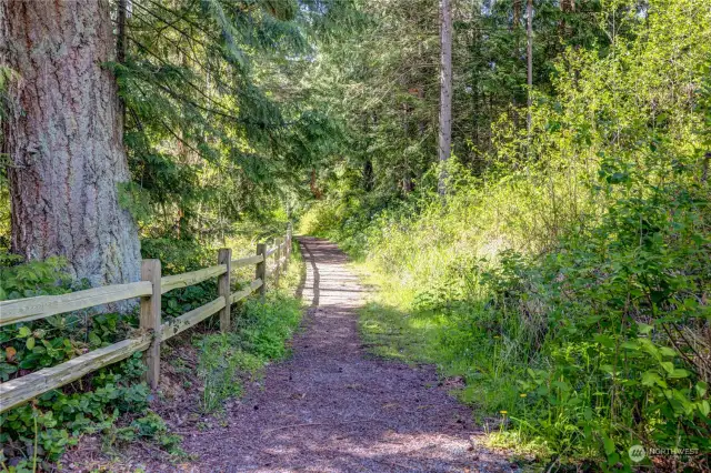 Short walk to the private dock.  The trail connects to Daisy Lane and is apx 1.5 mile nice easy hike or bike.  Frequently the neighbors ride Horses on the trail.