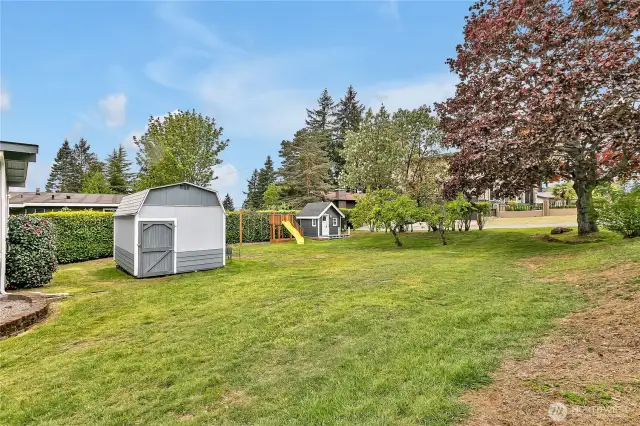 Large yard with storage unit