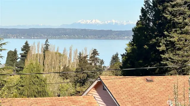 Olympic Mountains