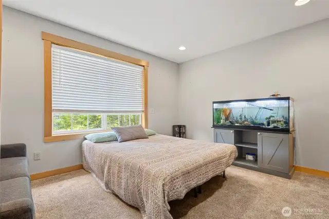 Downstairs Guest Room