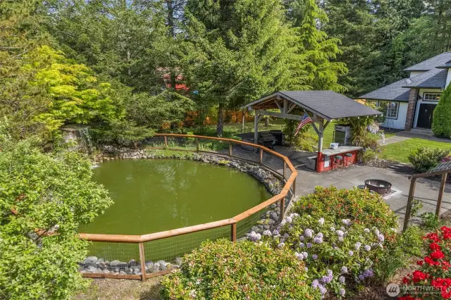 30,000 gallon Koi Pond