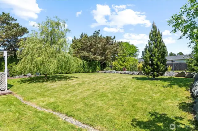 another view of large backyard