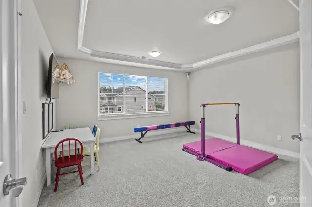 Bedroom 5/Bonus Room