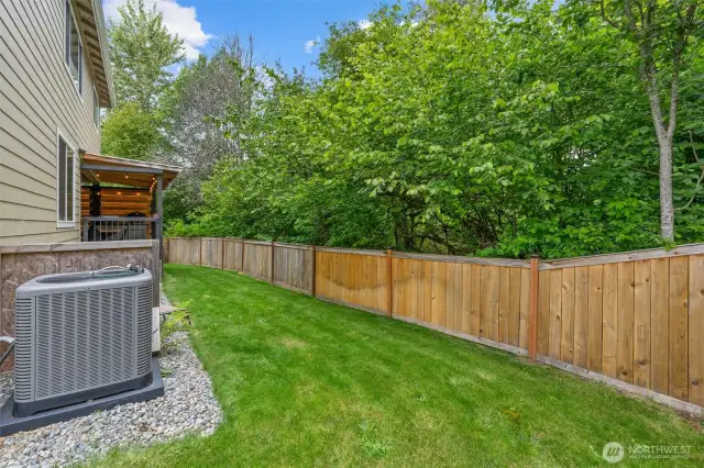 Backyard and Protected Greenbelt