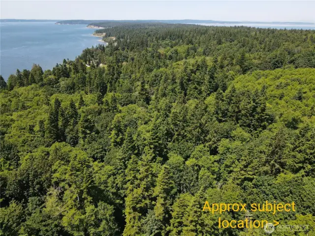 Located on beautiful South Camano Island- peaceful and no ferry required!