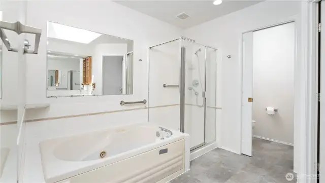 ... a fancy tub and a separate shower, separate throne room, plus a large walk in closet on the right.