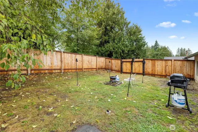 Spacious Backyard