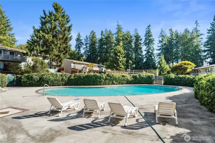 Community Pool!
