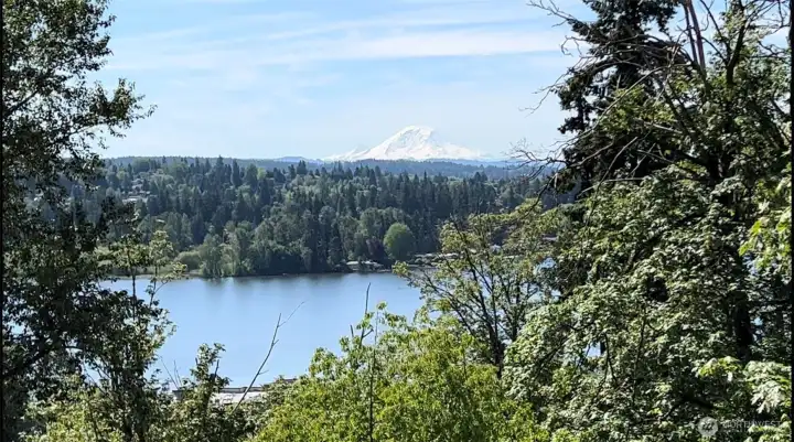 Stunning Mt Rainier and Lake Washington views
