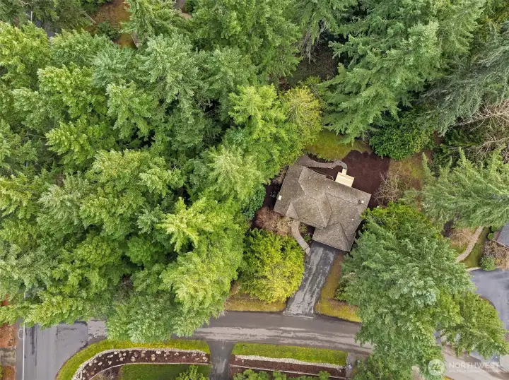 All this yet minutes to shopping, not far from wine country and downtown Woodinville, and a surprisingly easy access commuter locale. Award Winning Northshore School District.