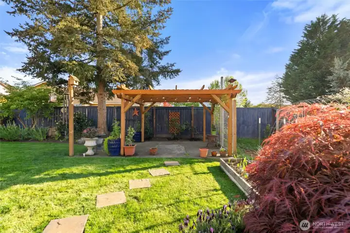 lighted pergola great for gathering day or night