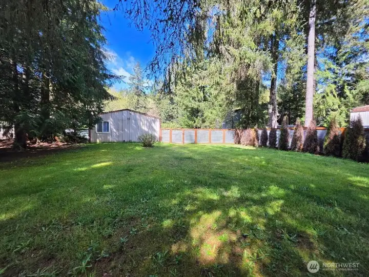 Looking at the shop from the back yard.