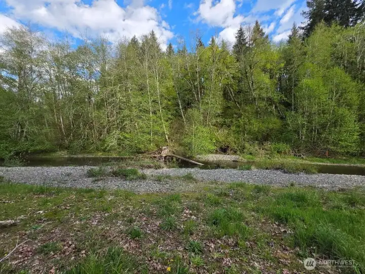 Salmon Highway right in your backyard!