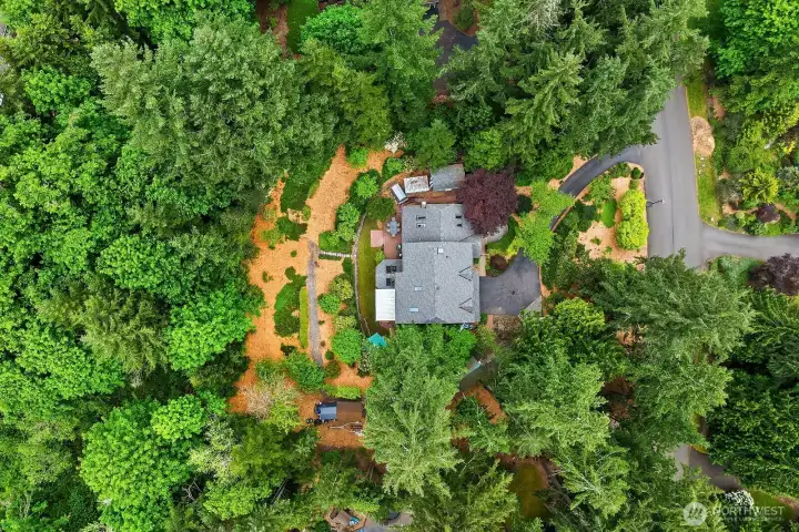 This bird's eye view reveals just how privately tucked this home is, surrounded by a lush canopy of mature trees that create a serene and secluded retreat unlike anything else in the area.