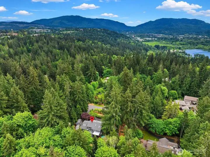 This sweeping aerial perspective showcases the home's private setting among the treetops, with stunning views of the surrounding hills and a rare glimpse of Mount Rainier completing this exceptional Pacific Northwest backdrop.