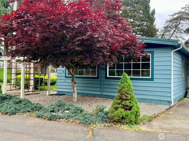 Desirable corner lot