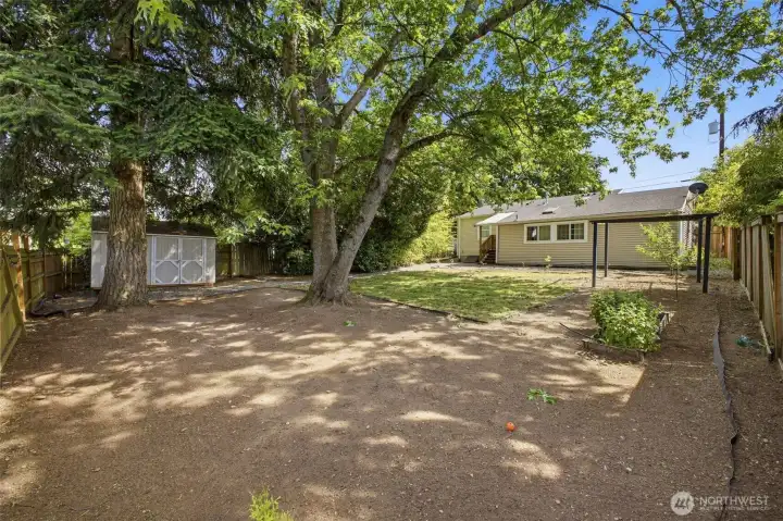 Huge, fully fenced backyard with in-ground sprinker system