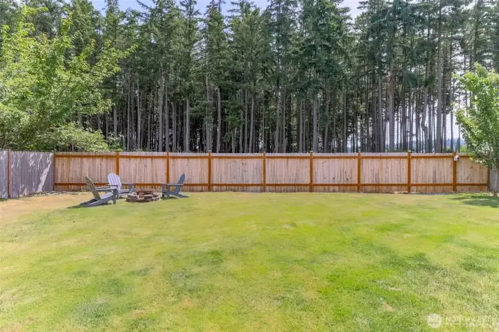 Backyard to back of property