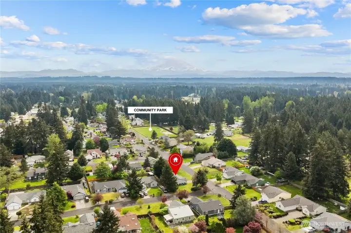 Drone View