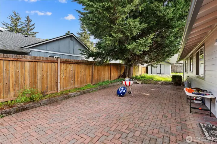 Back Yard Patio