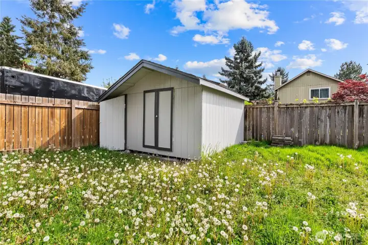 Storage Shed