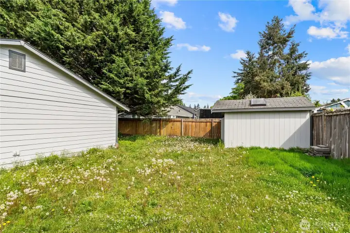 Side Yard