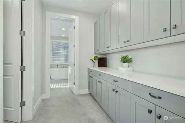 Extra Built-In Cabinets