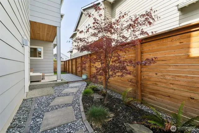 Another view of the low maintenance back yard.