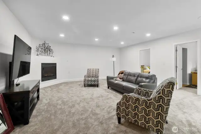Lower level living room