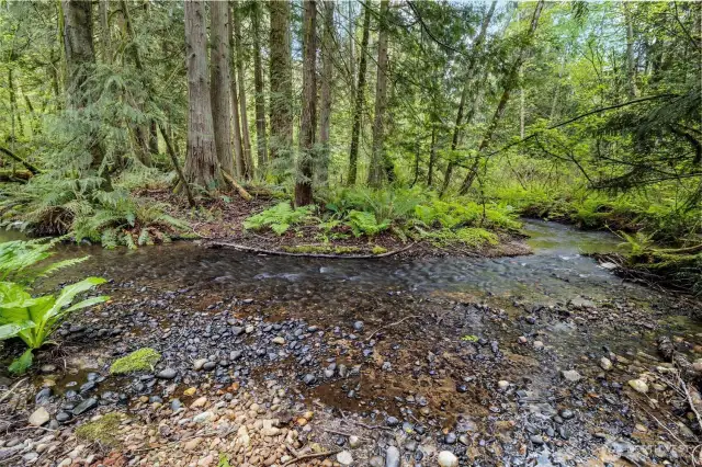 Carpenter Creek is property boundary