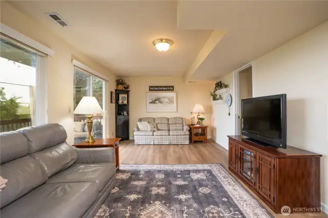 Downstairs living room draws plenty of natural light