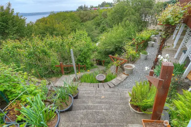 Start of the many trails in your garden