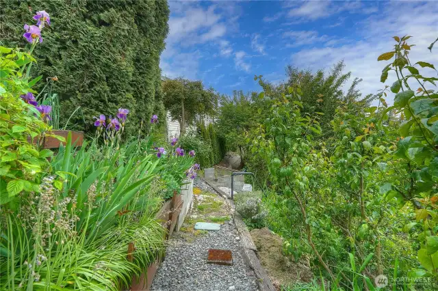 This path ends at the composting basin