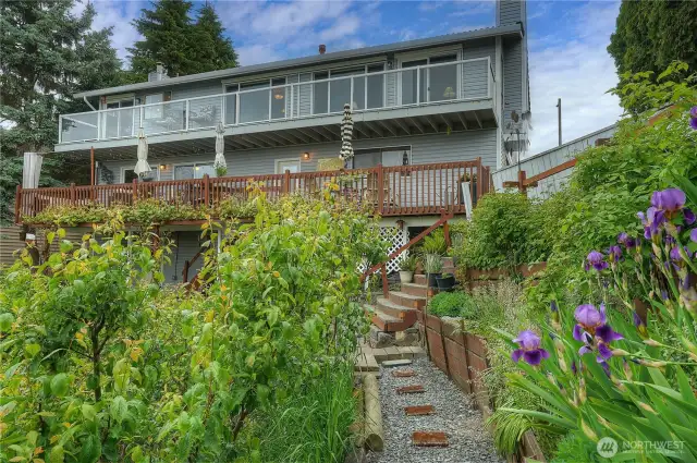 Looking back up to the house