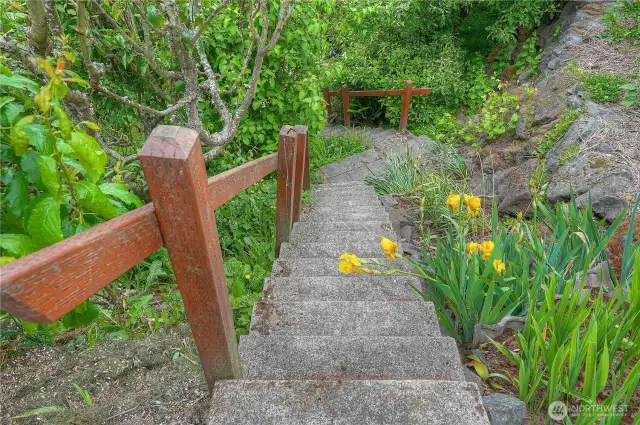 The garden steps