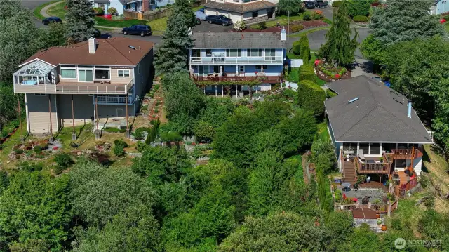 Look at all the fruit trees in your backyard