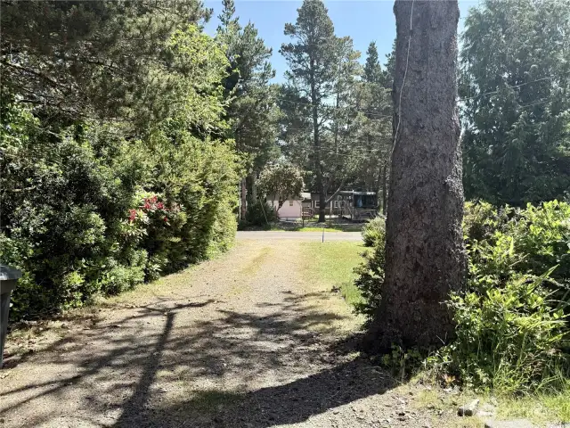 Driveway up to house